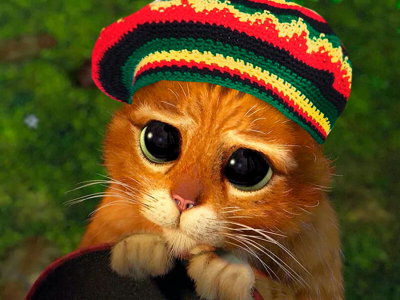 Способ заставить коноплю расти быстрей Кот в растоманском головном уборе