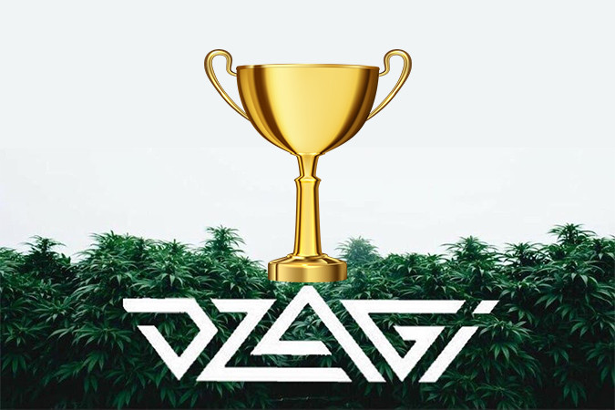 Кубок коноплевода Дзаги Кубок Дзаги
