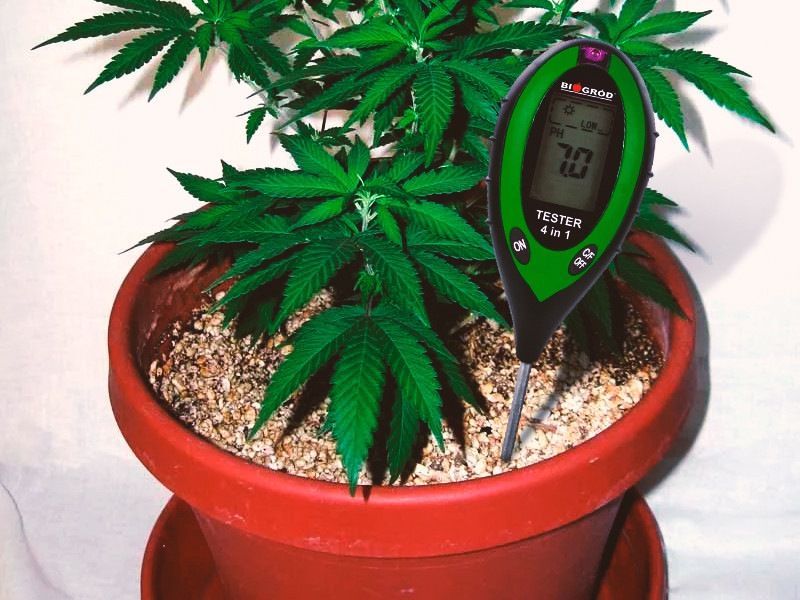 pH тестер для конопли Измерение pH при выращивании конопли